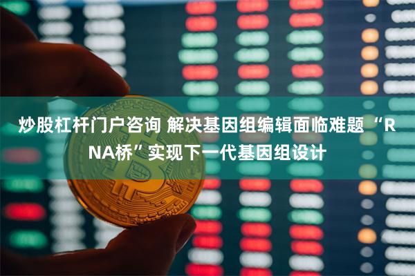 炒股杠杆门户咨询 解决基因组编辑面临难题 “RNA桥”实现下一代基因组设计