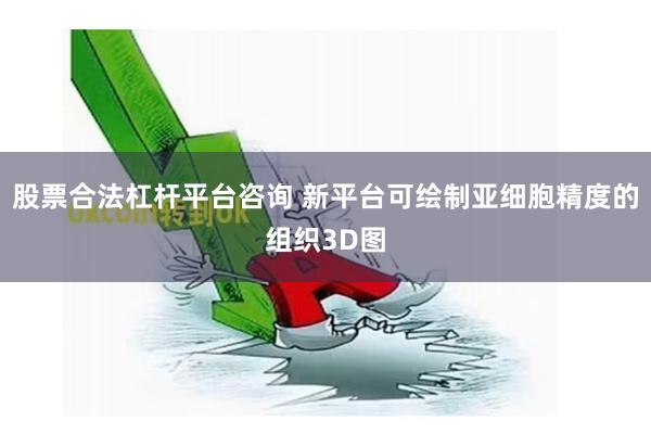 股票合法杠杆平台咨询 新平台可绘制亚细胞精度的组织3D图