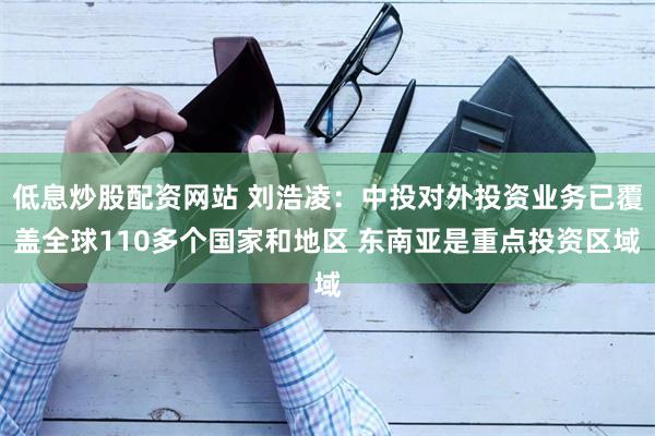 低息炒股配资网站 刘浩凌：中投对外投资业务已覆盖全球110多个国家和地区 东南亚是重点投资区域